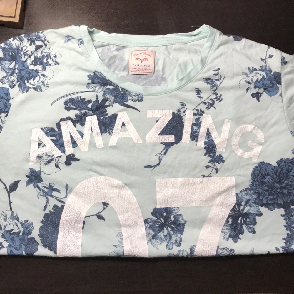 Zara Graphic Tee